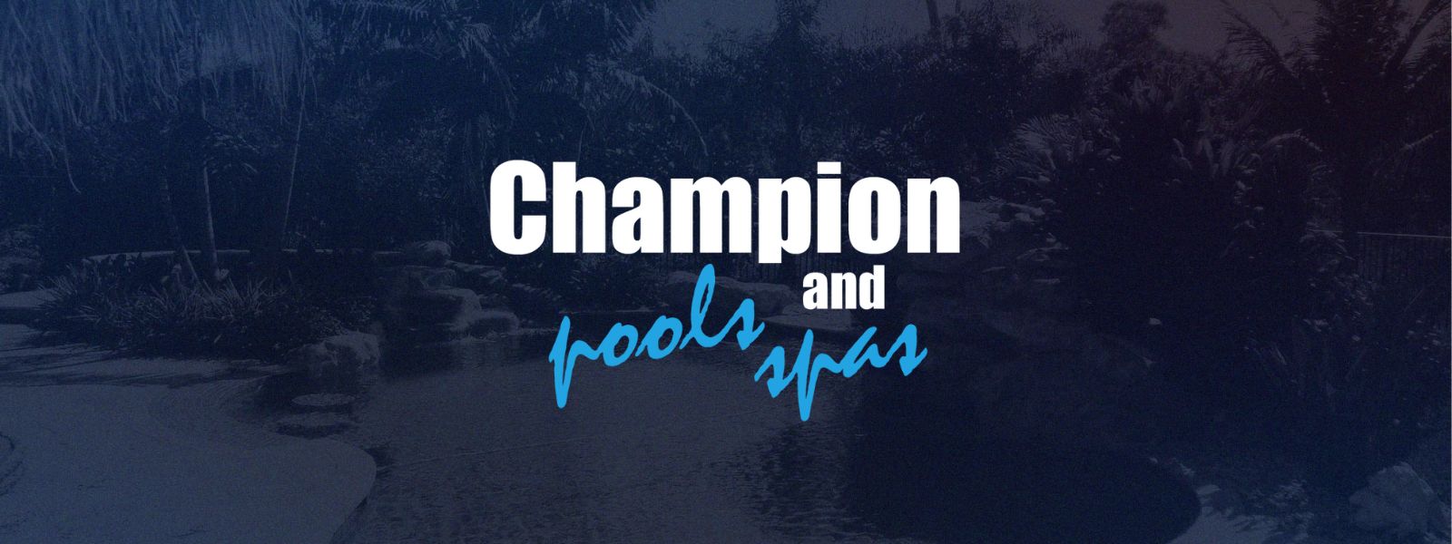 SavvyPartner BlogHero Champion