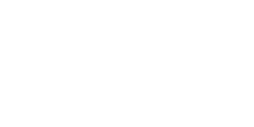 Maxi Mechanic Logo white